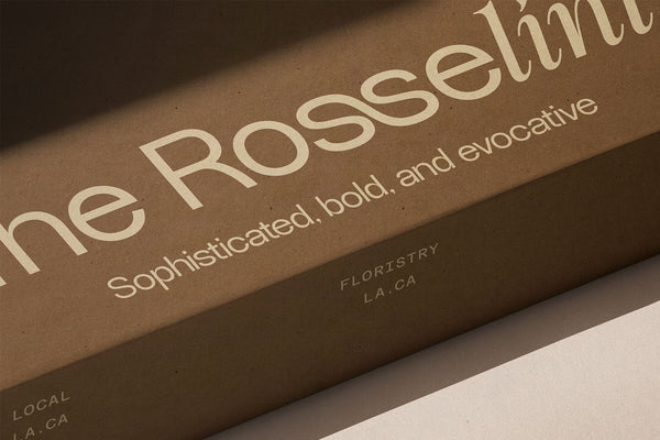SLTF Dessign Maison hybrid serif display - The Rosselini floristry lettering embossed on a box