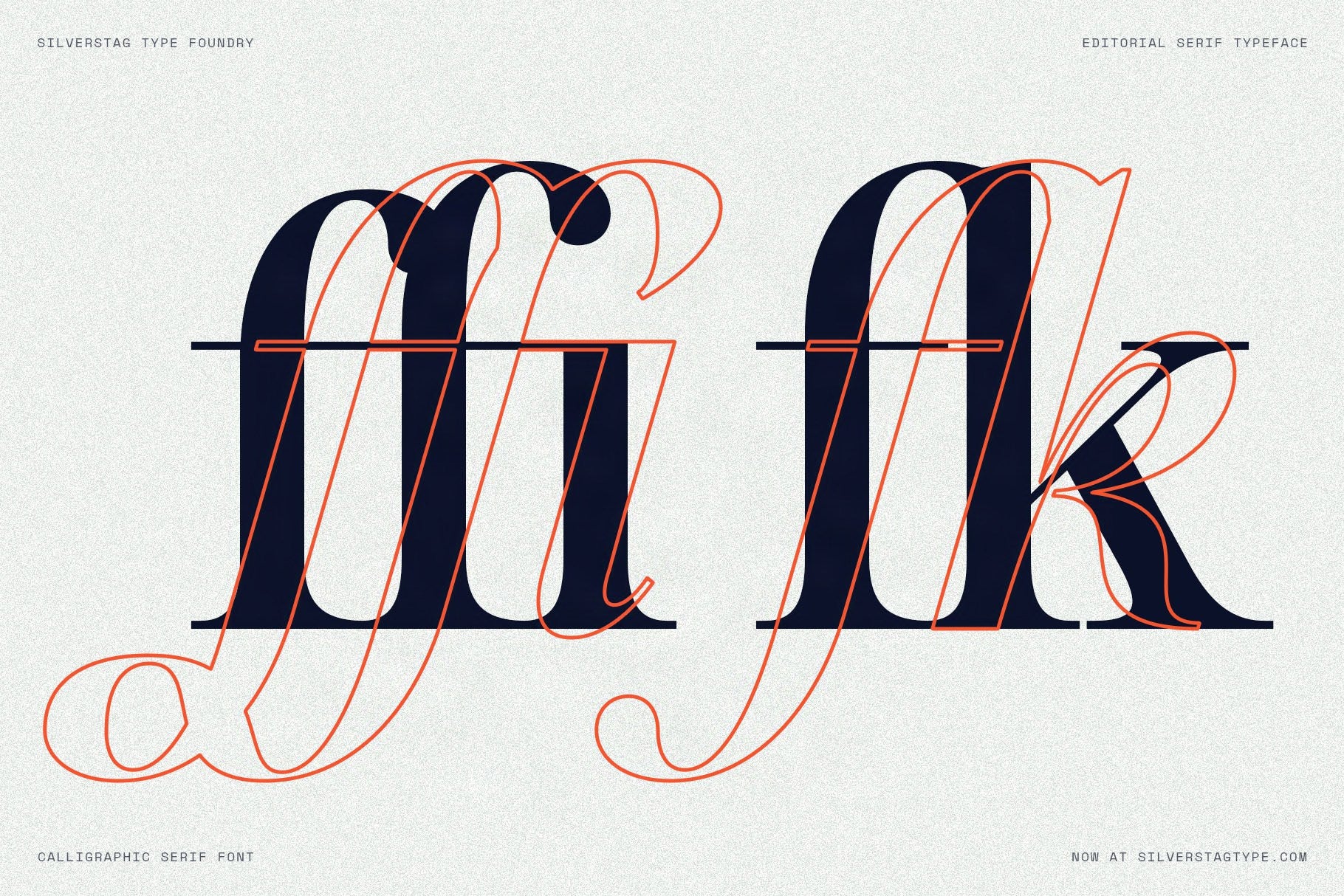 SLTF Netsera — Calligraphic Editorial Serif Typeface