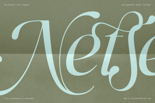 SLTF Netsera - Calligraphic Serif Typeface