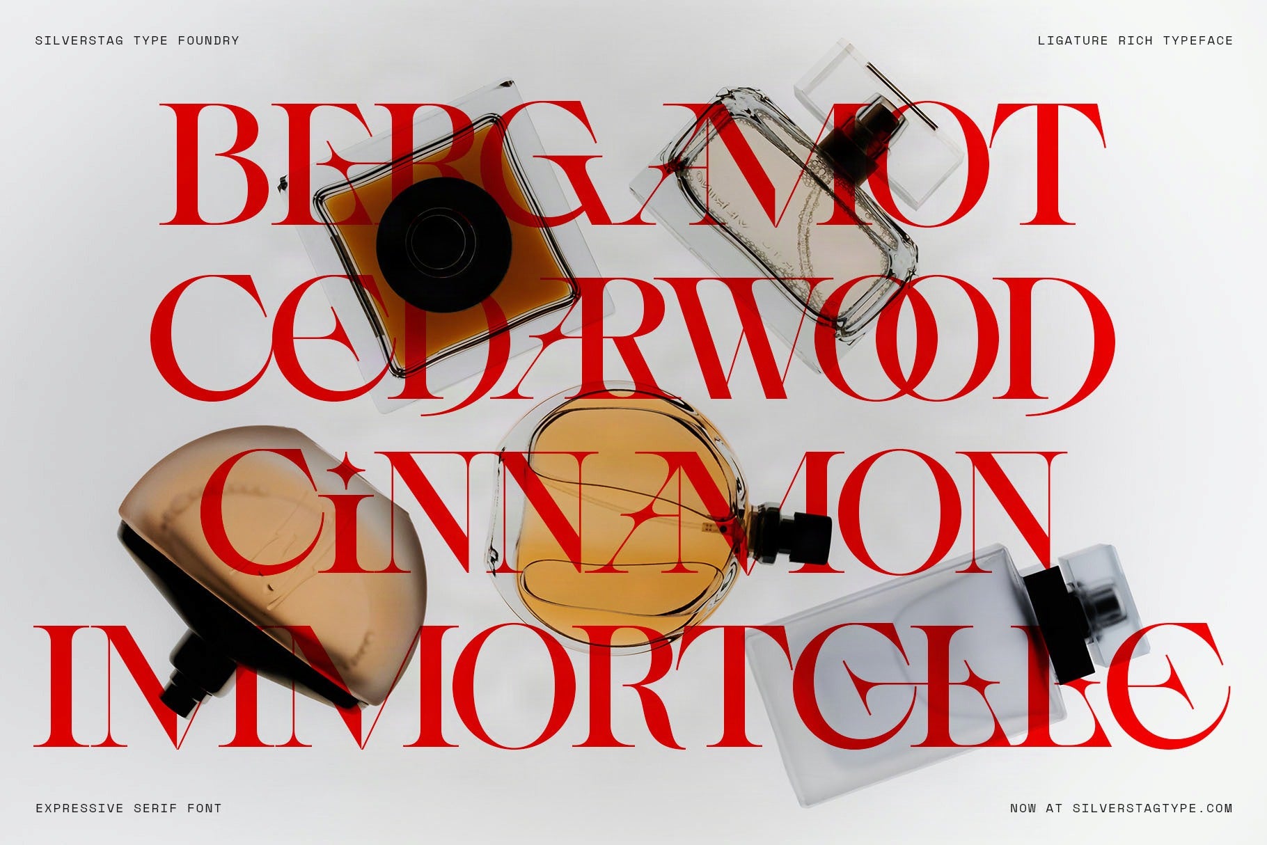 Bergamot Cedarwood Cinnamon Immortelle perfume notes in red SLTF Spanish Archer over fragrance bottles