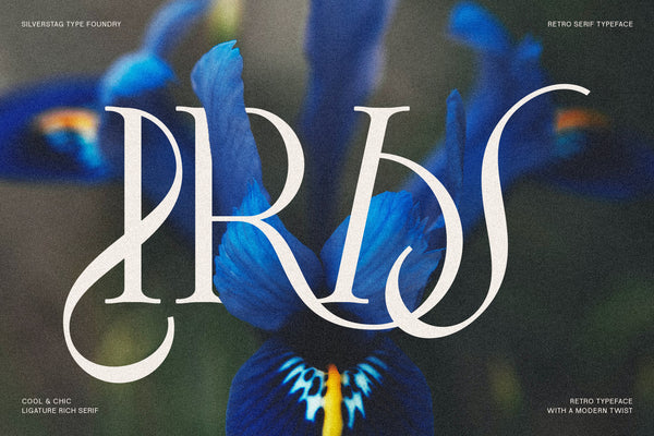 Frosty Garden - Elegant Retro Serif Font