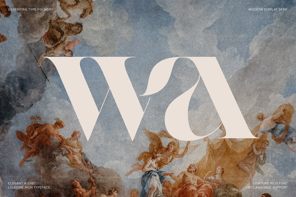 Raving - Editorial Display Serif Font