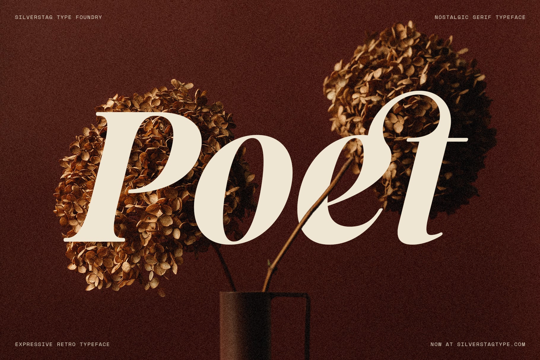 SLTF La Mystère - High Contrast Serif Font for Editorial Design