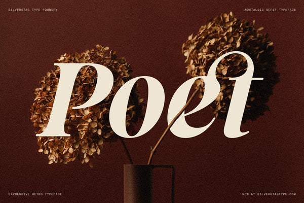 SLTF La Mystère - High Contrast Serif Font for Editorial Design