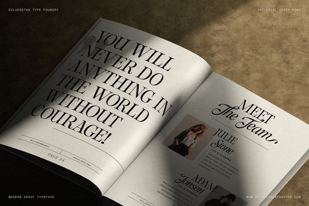 SLTF The Loneta Editorial - Calligraphic Editorial Serif