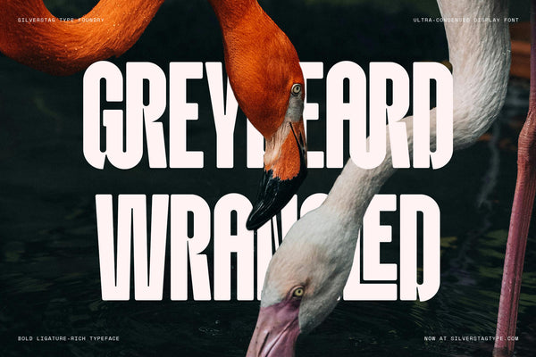 SLTF Knolt – Ultra-Condensed Ligature Display Font