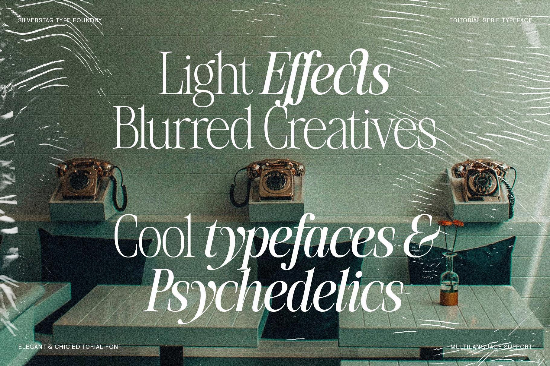 SLTF The Silver Editorial – A Nostalgic Serif Typeface with 18 Fonts ...