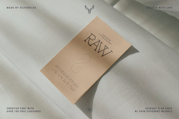 Authentic Romantic - Modern Slab Serif Typeface