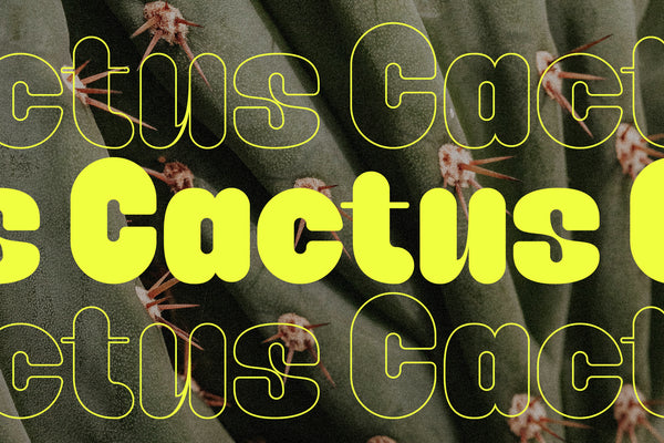 Caprifig – Bold & Rounded Sans Serif with Playful Personality