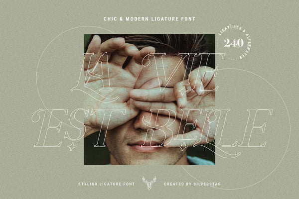 Charles - Ligature Serif Font Family