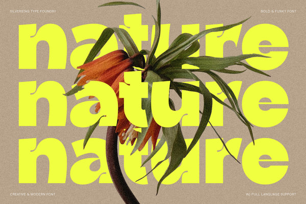 Ingrafts - Bold & Funky Font