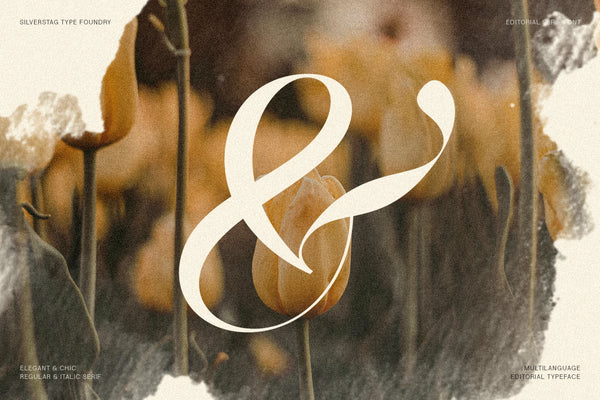 The Portray - Elegant Serif Typeface