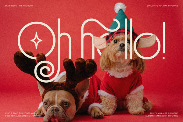 SLTF Holiday Whispers - A Soft Contemporary Serif