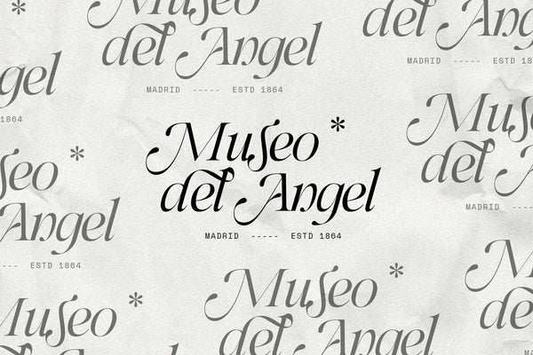 SLTF Netsera - Calligraphic Serif Typeface