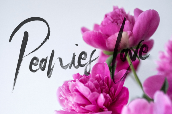 SkyLove – Hand-Painted SVG Watercolor Script Font