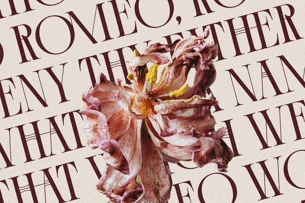 Cosmic Solace - Ligature Rich Serif Typeface