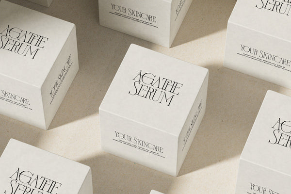 French Voyager - Chic Ligature Serif