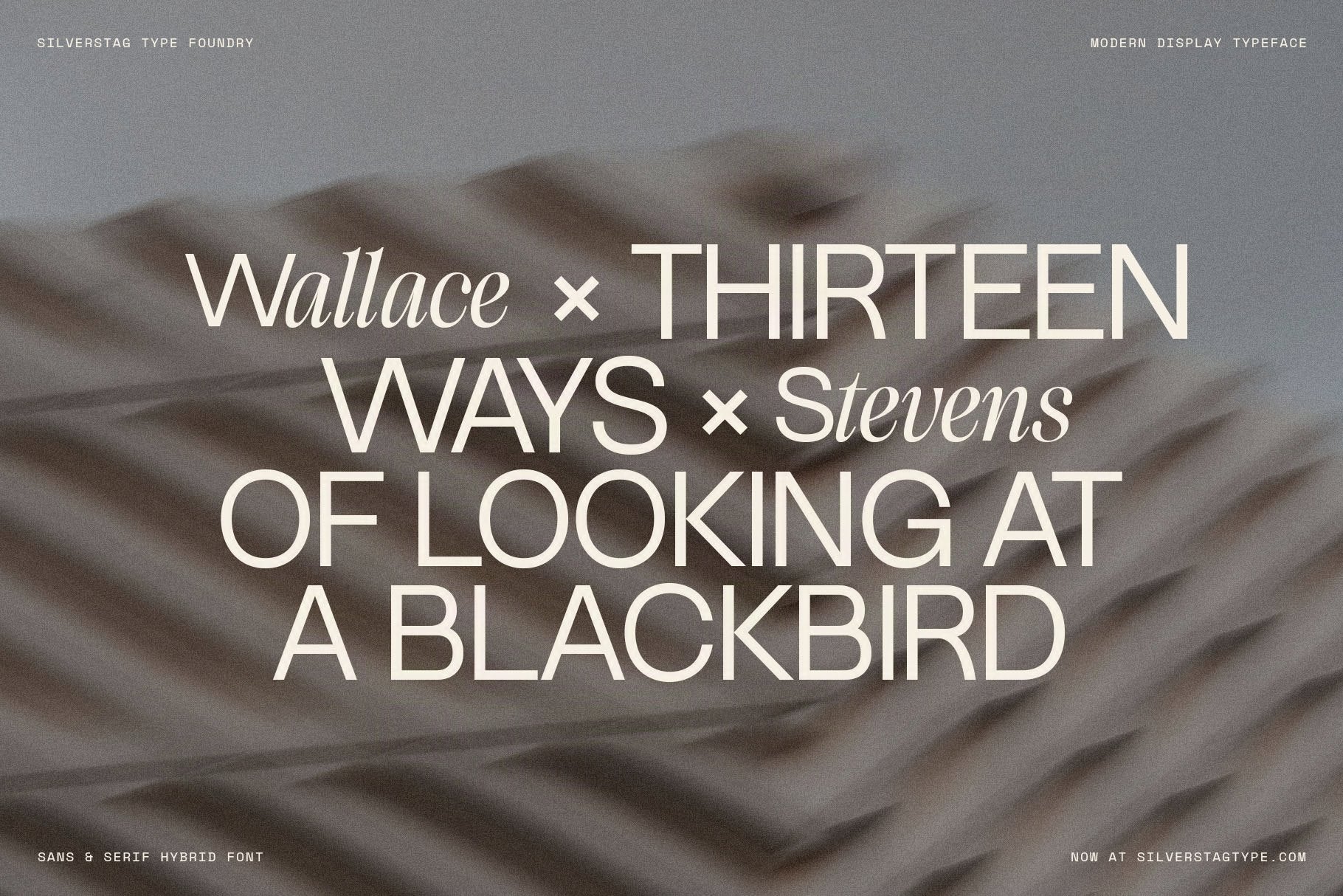 SLTF Dessign Maison hybrid serif display - Thirteen Ways of Looking at a Blackbird editorial text