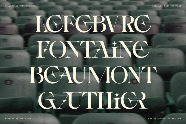 Lefebvre Fontaine Beaumont Gauthier surnames in SLTF Spanish Archer over green cinema seats
