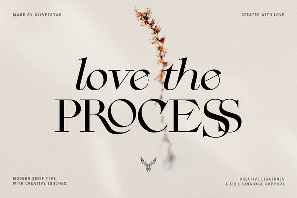 CINQUE TERRE | A Classic Serif Font