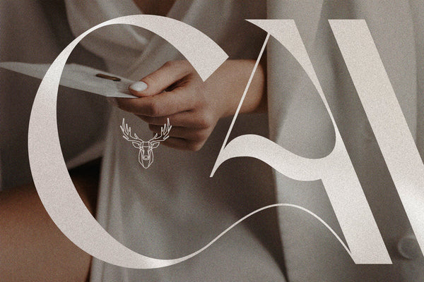 FRENCH CHATEAUX - Chic Display Font