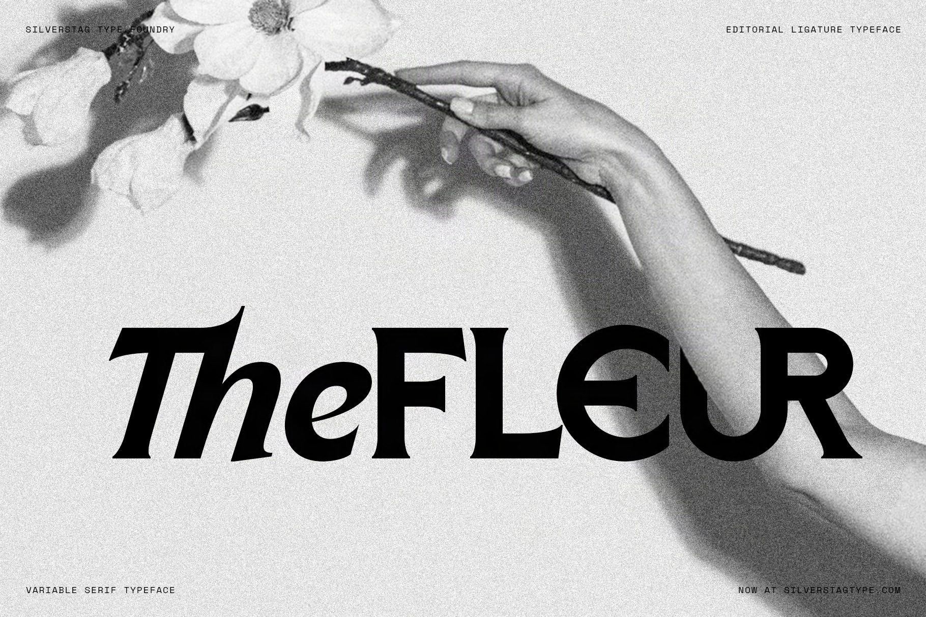 SLTF Arcilla Black Italic specimen — the word TheFLEUR set at display size in solid black against a black and white photograph of a hand holding a delicate flower branch. Highlights the expressive calligraphic quality of the italic cut and the ligature between lowercase letters at large sizes.