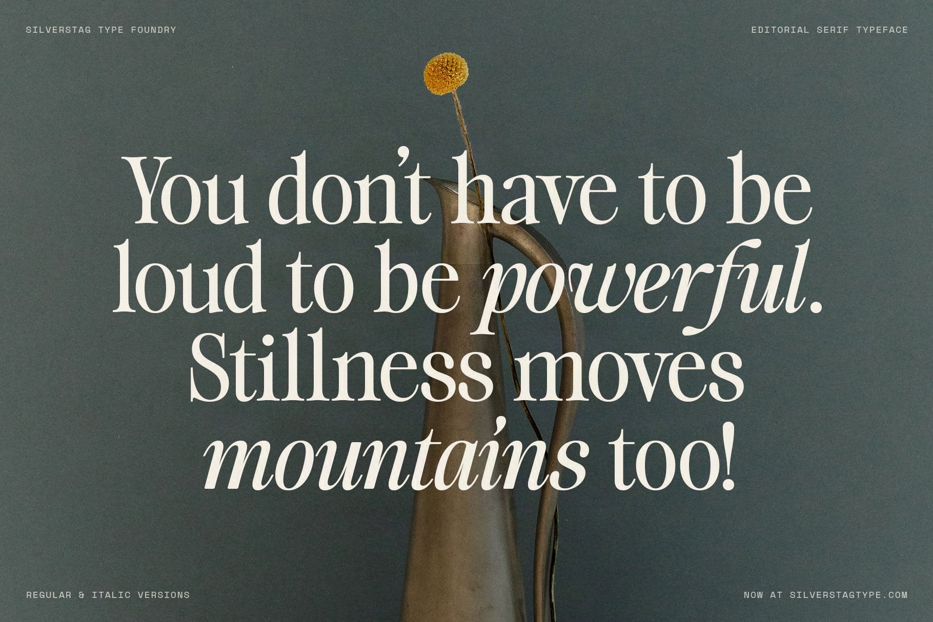 Stillness quote set in SLTF The Brachen, white serif on a muted teal background with a small gold abstract photo detail