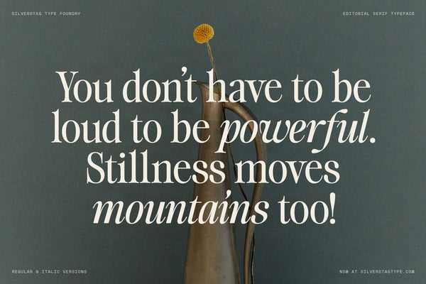 Stillness quote set in SLTF The Brachen, white serif on a muted teal background with a small gold abstract photo detail