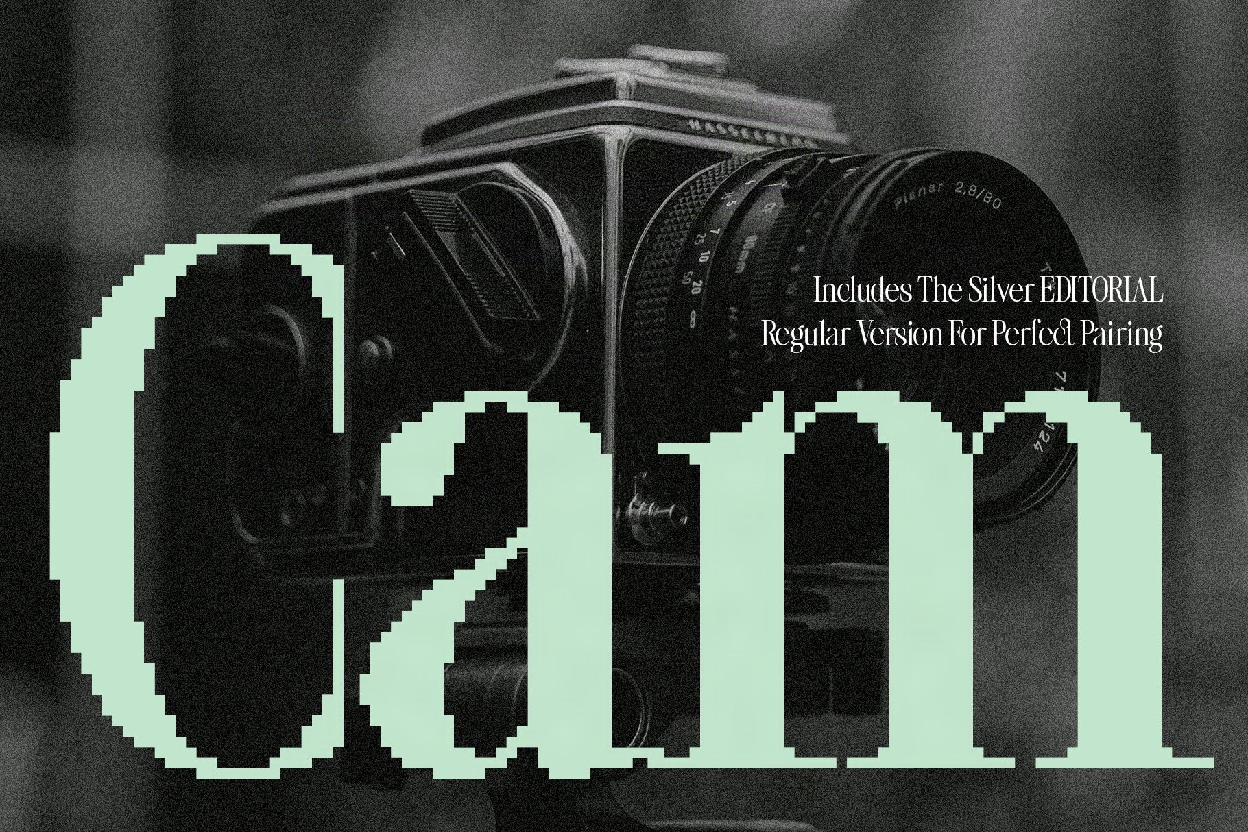 SLTF The Silver Editorial Pixel Version