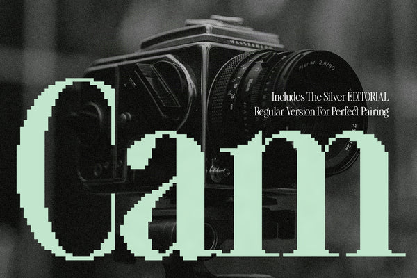 SLTF The Silver Editorial Pixel Version