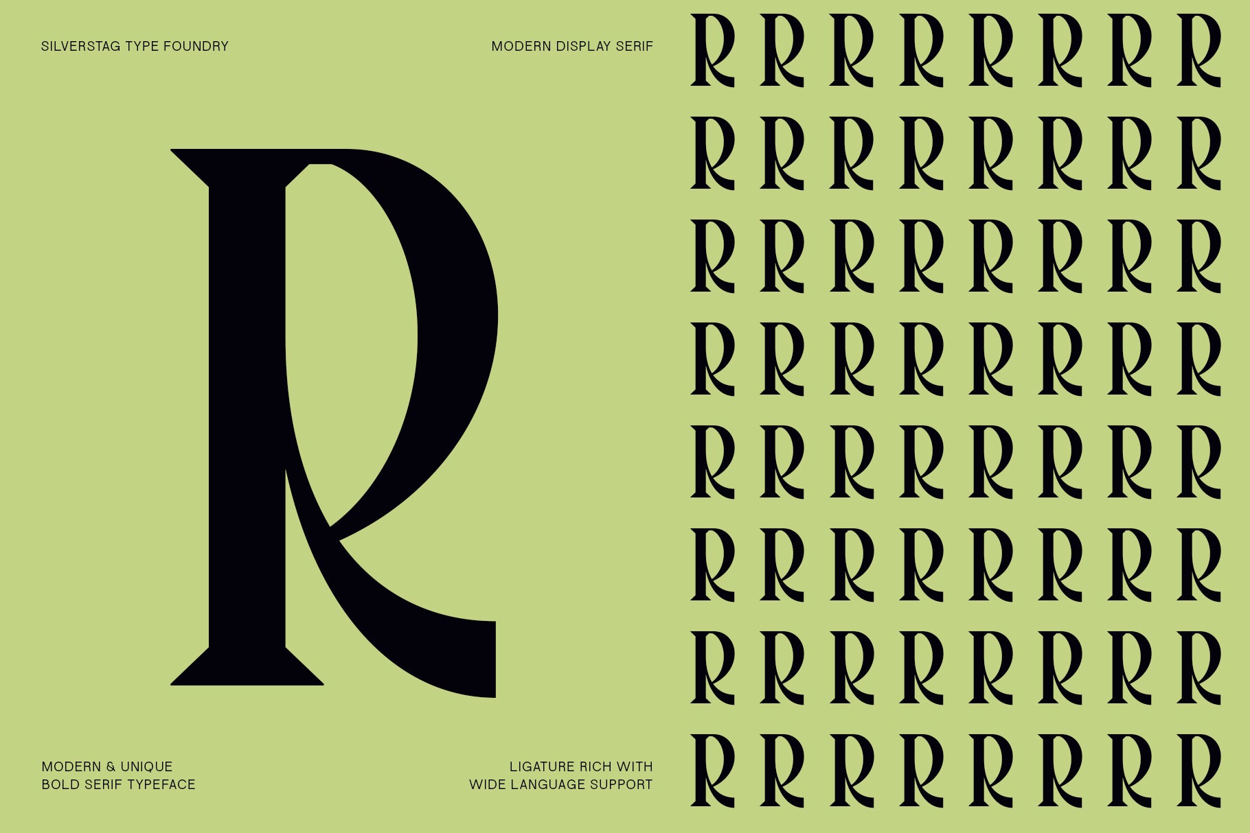 Tangled Rockaway – A Vintage Serif Font with a Modern Edge & 48 Ligatures