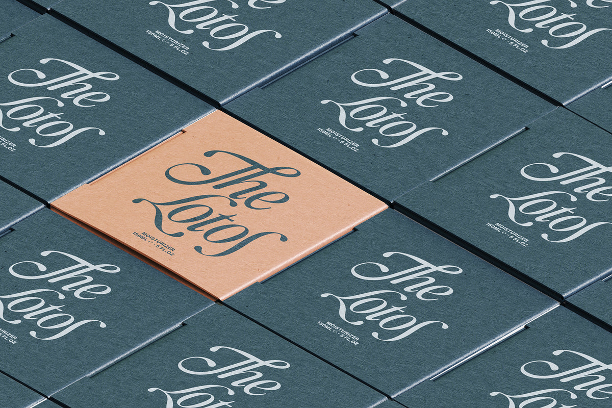 SLTF The Loneta Editorial - Calligraphic Editorial Serif