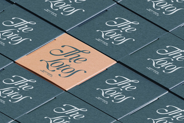 SLTF The Loneta Editorial - Calligraphic Editorial Serif