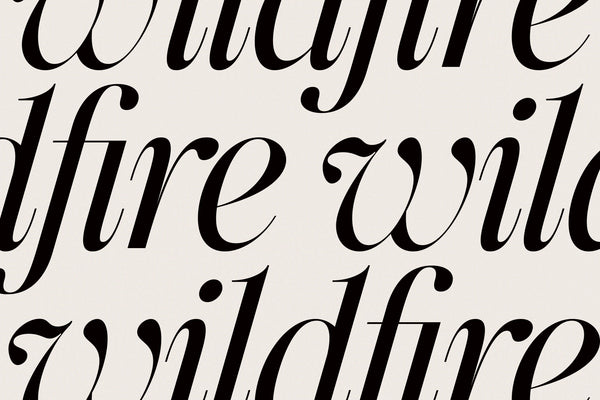 The Portray - Elegant Serif Typeface
