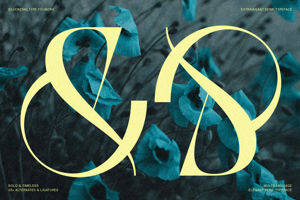 SLTF BOXROOM - Modern Serif Typeface