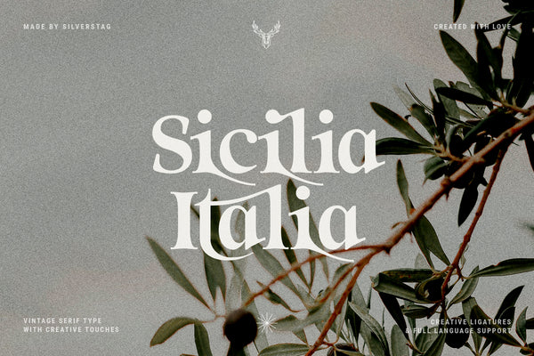 Eighties Nostalgia - Ligature Serif Font