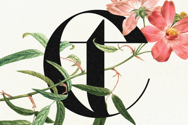 Gallica - A Powerful Ligature Serif Font