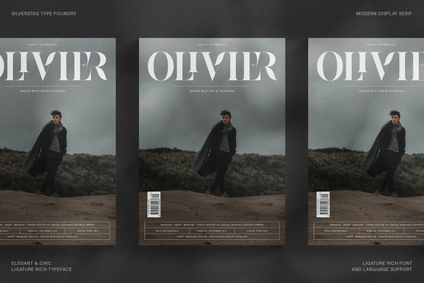 Raving - Editorial Display Serif Font