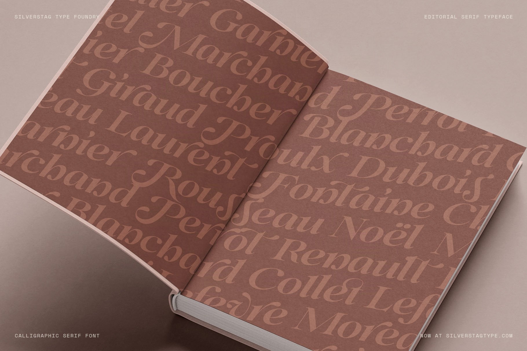 SLTF Netsera — Calligraphic Editorial Serif Typeface