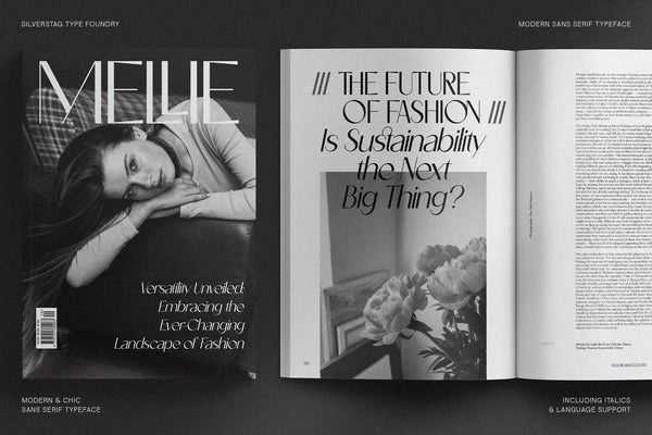 Castillet - Elegant Sans Serif Font With Italics
