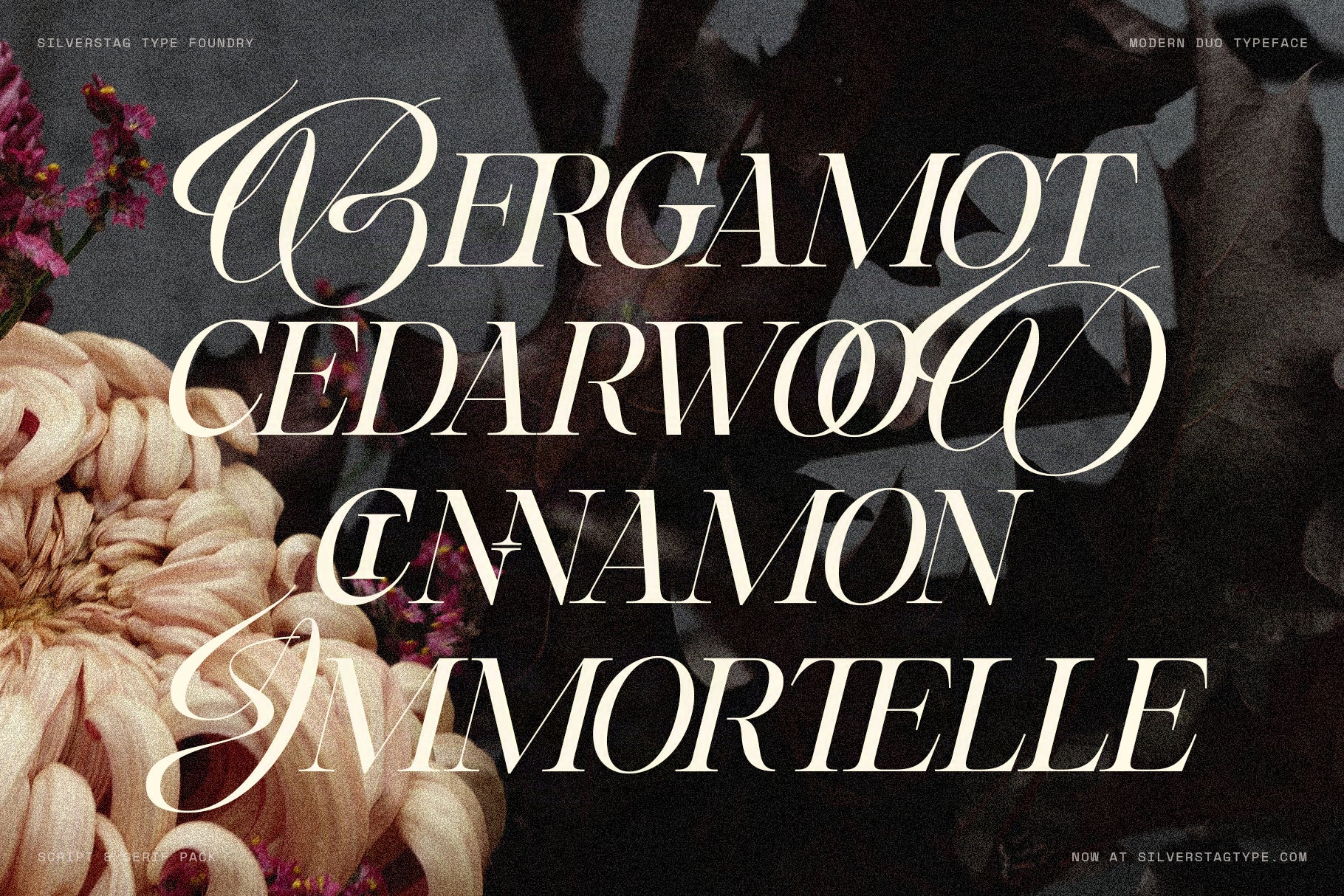 SLTF Hazel Shore - Modern Serif & Script Font Duo