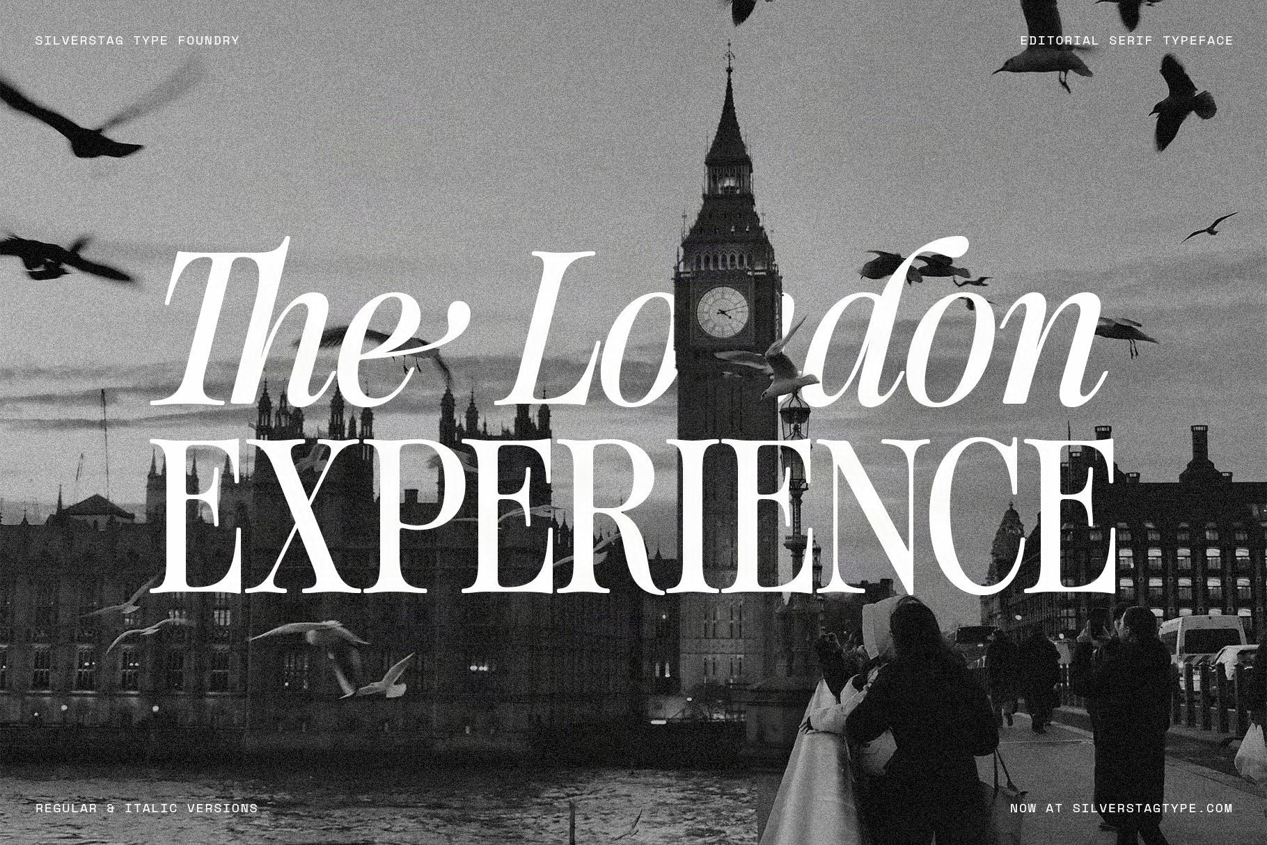 The London Experience in white SLTF The Brachen serif over a black and white photo of Big Ben with birds and people on a bridge