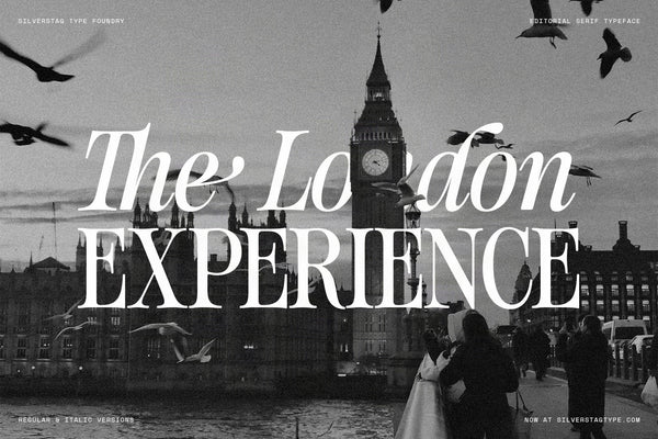 The London Experience in white SLTF The Brachen serif over a black and white photo of Big Ben with birds and people on a bridge