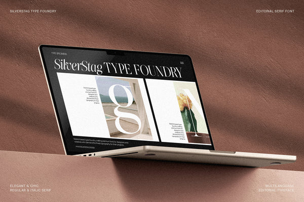 The Portray - Elegant Serif Typeface