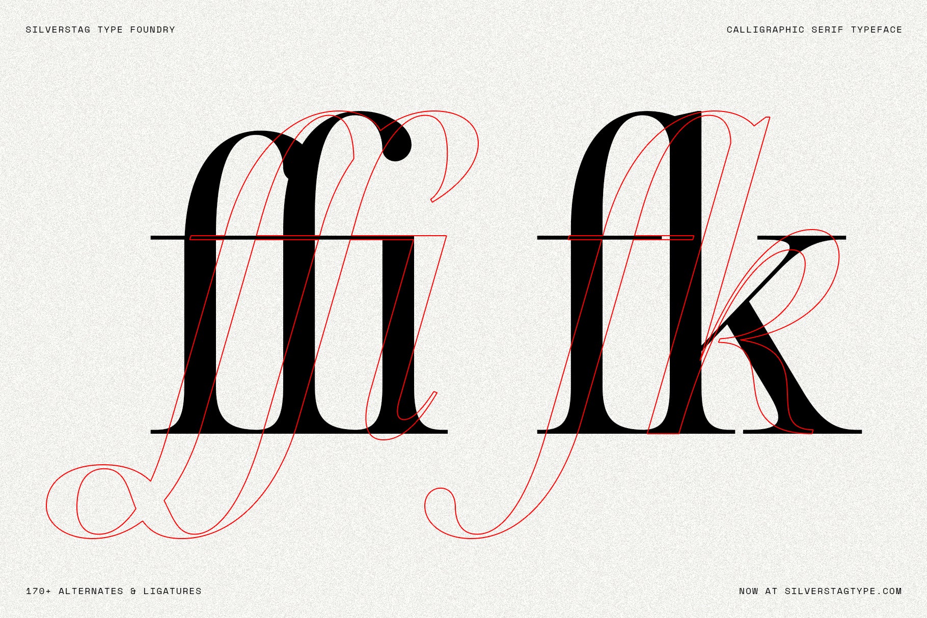 SLTF Netsera - Calligraphic Serif Typeface