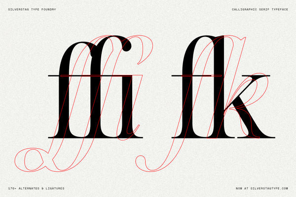 SLTF Netsera - Calligraphic Serif Typeface