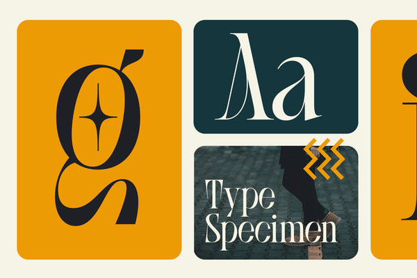 SLTF BOXROOM - Modern Serif Typeface