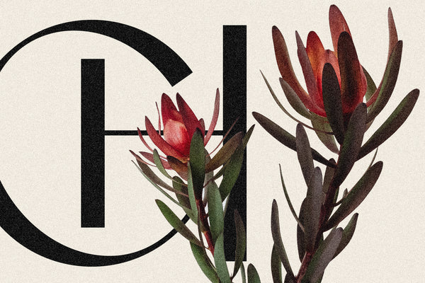 Castillet - Elegant Sans Serif Font With Italics