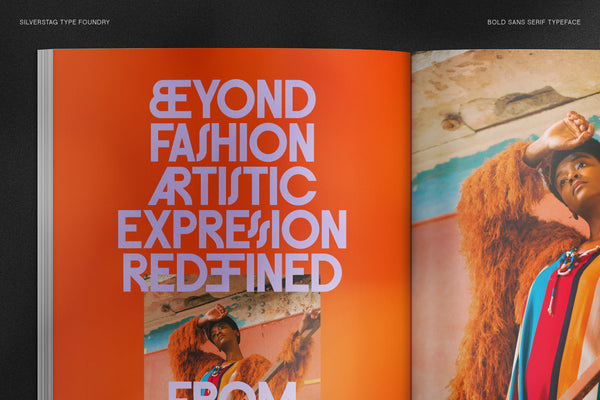 FlyBridge - Bold Ligature Rich Sans Serif Typeface