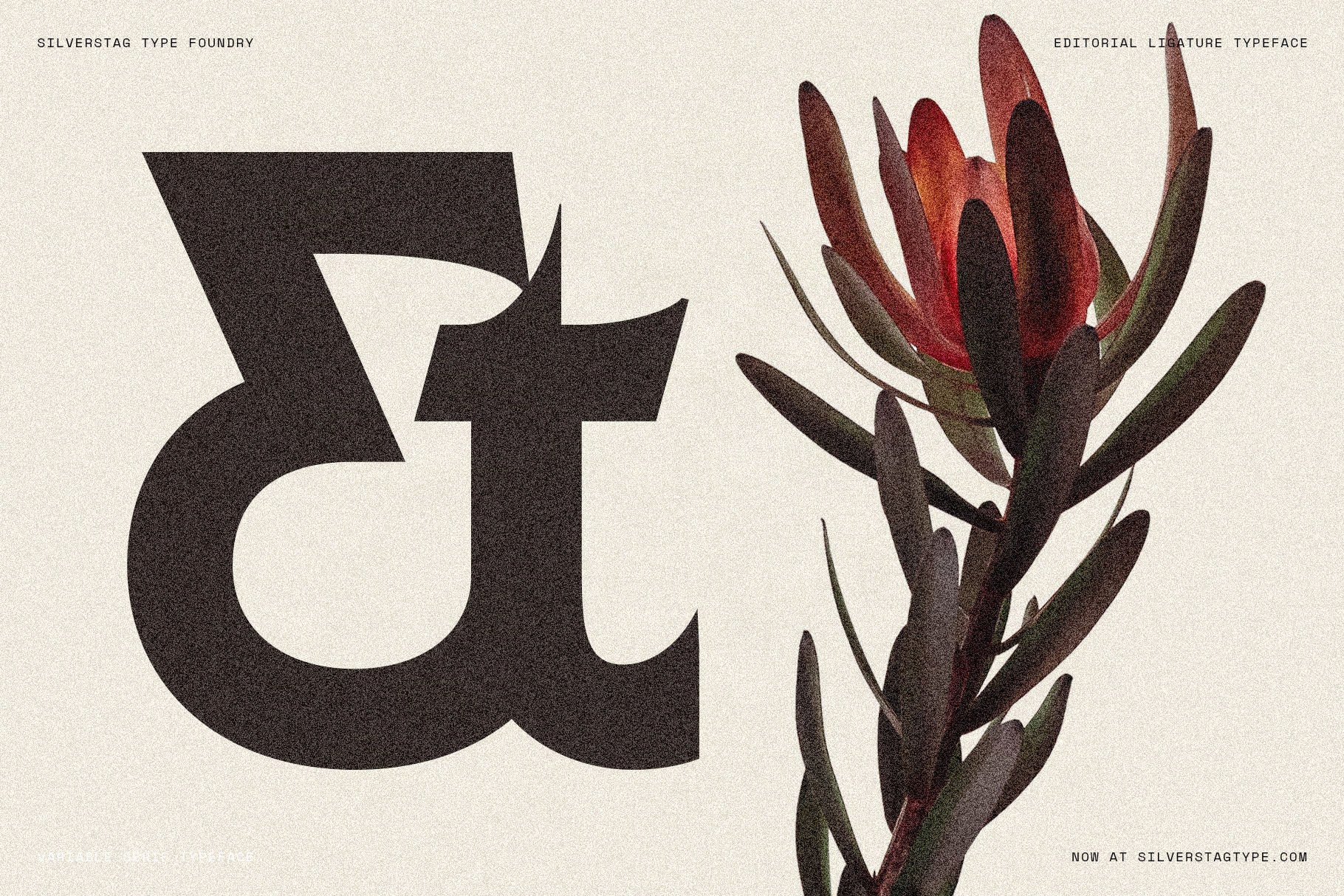 SLTF Arcilla OpenType et ligature — the stylistic et ampersand shown at monumental scale in dark brown on cream textured paper, alongside a vivid red protea flower. One of 40+ ligatures and alternates included with the typeface. Demonstrates the expressive glyph design accessible via liga and dlig OpenType features.